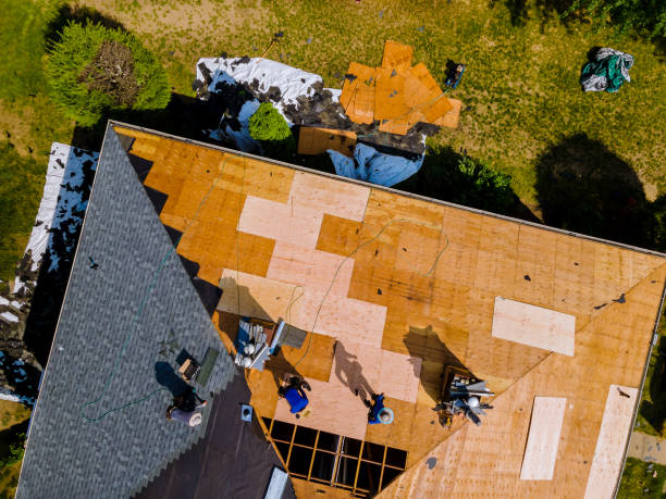 Best Storm Damage Roof Repair  in Elmwood, LA